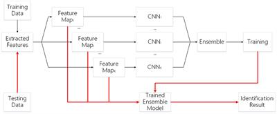 A deep ensemble learning method for single finger-vein identification